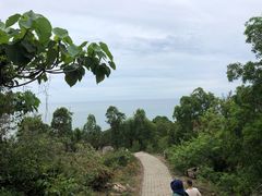-广东惠东海龟国家级自然保护区