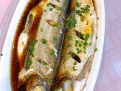 清蒸鲜白鱼-西新饭店(城中店)