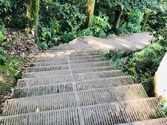 -凤栖山