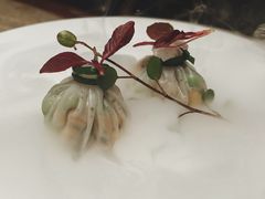 -觀芷隐轩