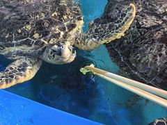 -横店影视城梦幻谷园区