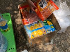 -吴淞炮台湾湿地森林公园烧烤区