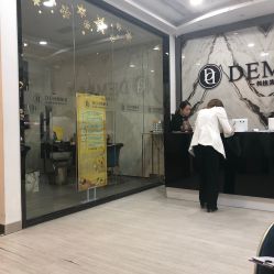 -DEM缔怡美科技美容