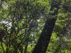 -广州市白云山风景名胜区