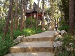 景点-云龙山