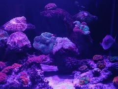 -海合安武汉极地海洋公园