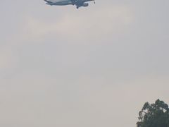 -空港花田景区