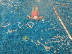 -广交会威斯汀酒店