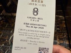 -影汇之星8字形摩天轮