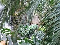 -南通洲际绿博园