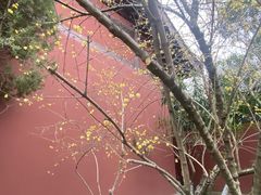 -钱王祠