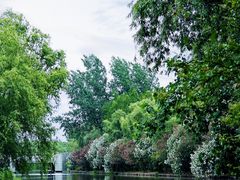 -新江湾城公园