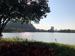 -顺峰山公园