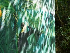 -广州白江湖森林公园