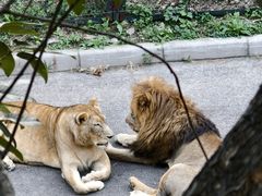 -大连森林动物园