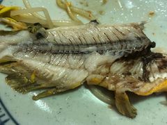 -老凯俚酸汤鱼(鸿通城店)