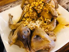 -百利鸽王(紫薇路店)