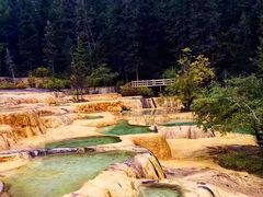 -黄龙山原始森林景区
