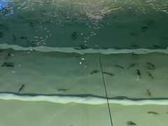 -DGE季风钓虾营地·团建·聚会