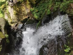 -碧峰峡风景区