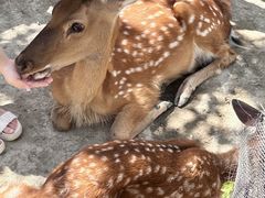 -水上乐园·欢乐世界