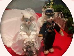 -济州岛泰迪熊博物馆