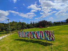 -铁山坪森林公园