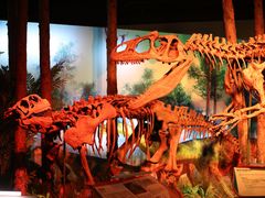 -正佳自然科学博物馆