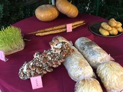 -二荆条·蜀鲜汇城市森林火锅