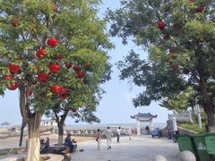 -兴城海滨风景区