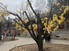-潭柘寺景区