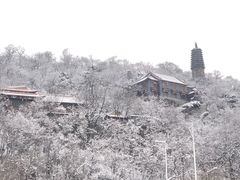 -高尔山公园