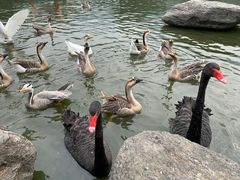 -西安秦岭野生动物园