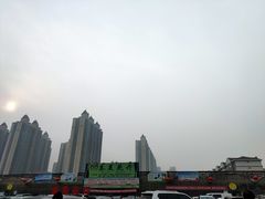 -秦美花卉(天朗·莱茵小城2期店)