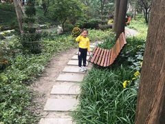 -汇龙潭