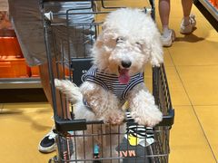 -MARSMART PETS火星宠物超市(1733店)