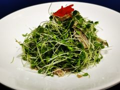 火丝银芽豆苗-江南雅厨(李公堤店)