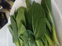 -丽清大别山鹅火锅(红皖家园店)