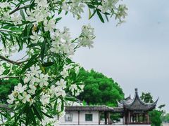 -上海月湖雕塑公园