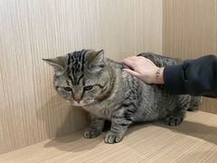 -美迦爱-牙专科·兔科·骨科诊疗中心(北苑店)