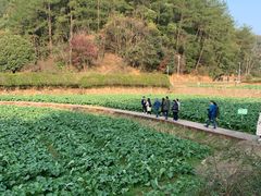 -韶山毛泽东同志故居