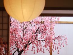 -Blue Concept Cafe&Farm·關於藍
