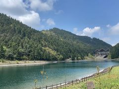 -武陵山森林公园