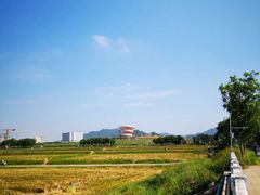 -光明小镇欢乐田园