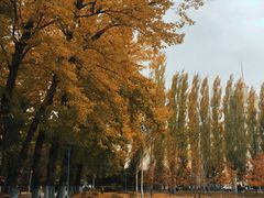 -黑龙江大学