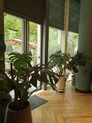 -娇玫荟SPA