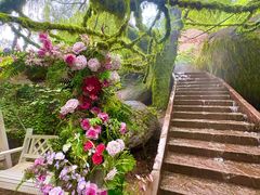 -沂蒙云瀑洞天景区