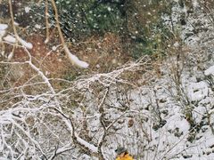 -叠溪松坪沟景区