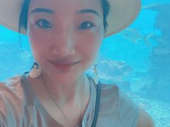 -海棠湾洲际-涛·海底餐厅·美人鱼·自助餐·海底隧道