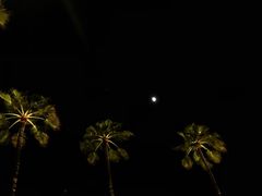 -木乃伊复仇过山车